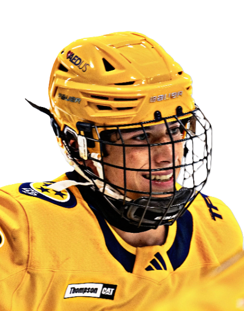 Player Image